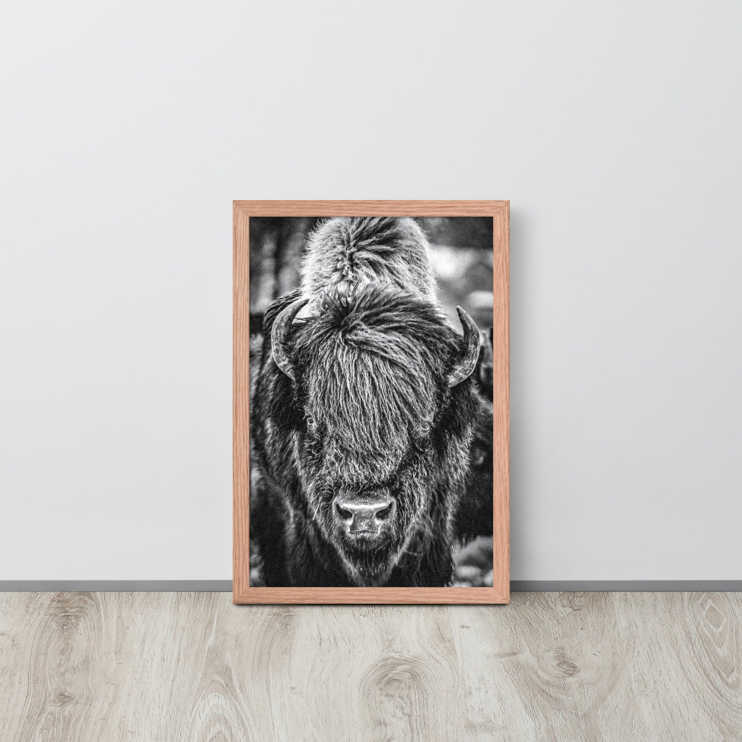 Bullbourne Bison One - Framed Print