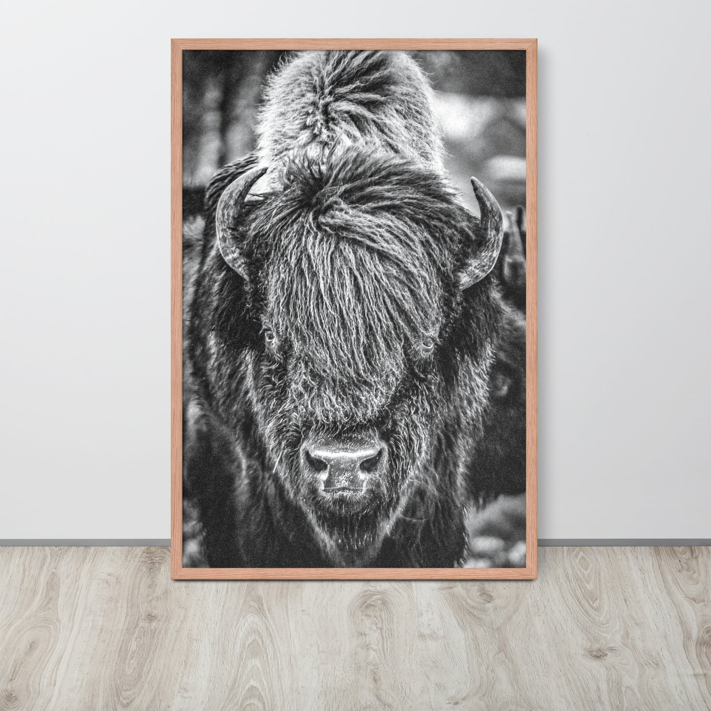 Bullbourne Bison One - Framed Print