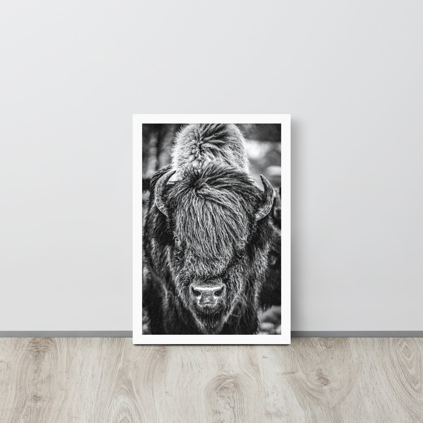 Bullbourne Bison One - Framed Print